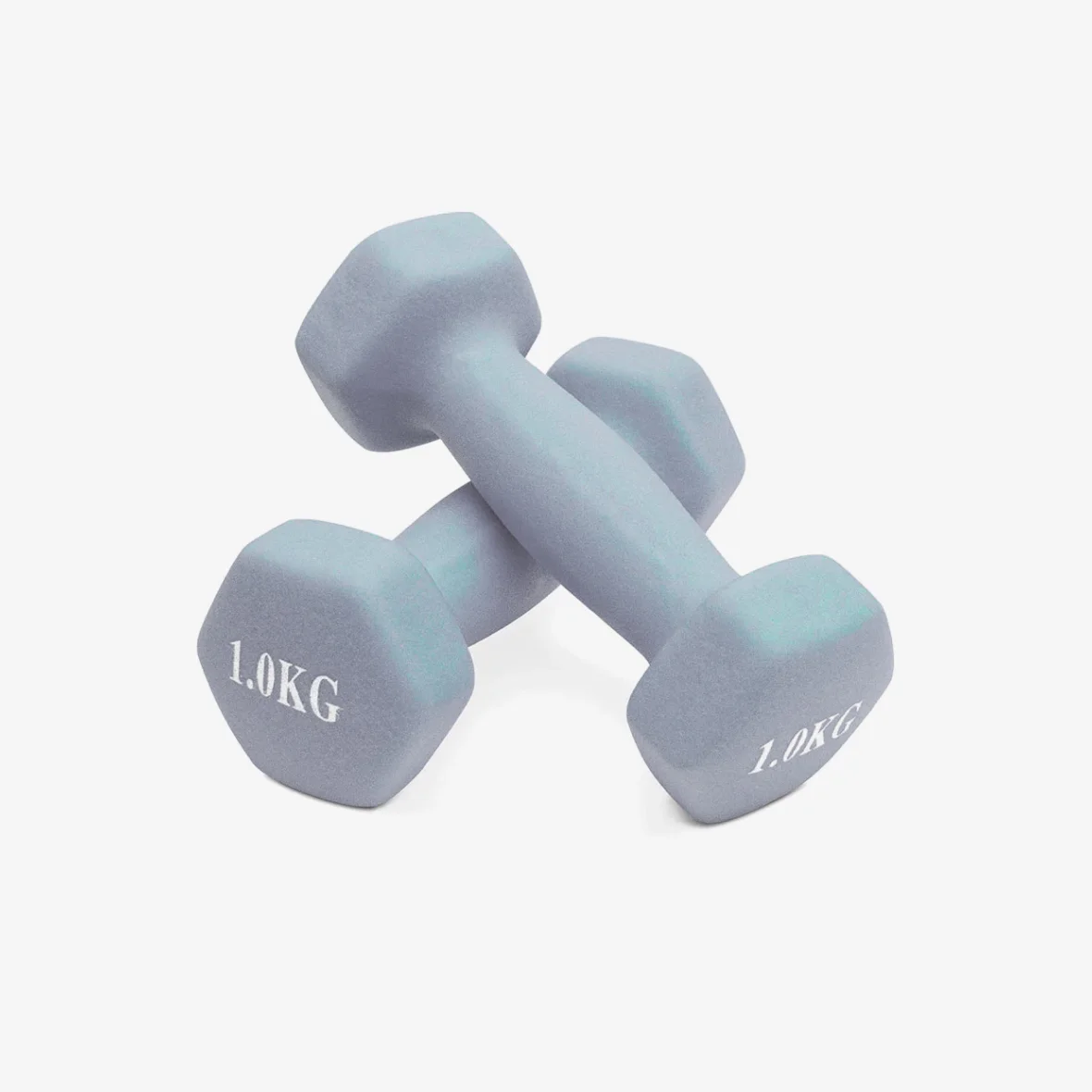 Fitness Dumbbells